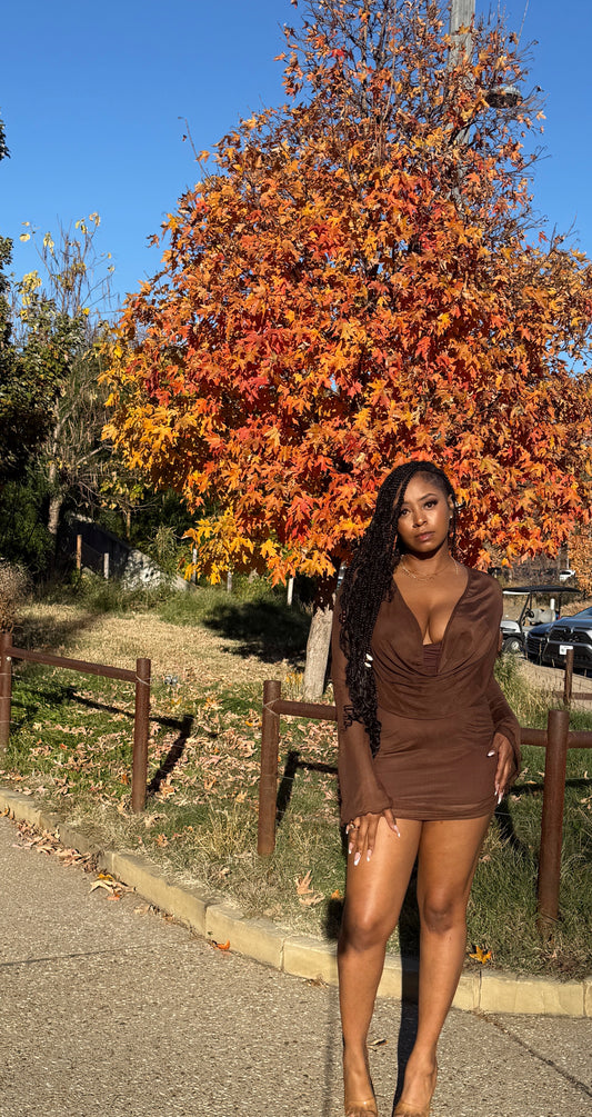 Brown Draped Neck Dress